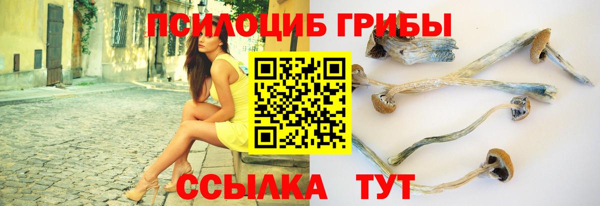 Псилоцибиновые грибы прущие грибы  Вход с VPN  Бахчисарай 
